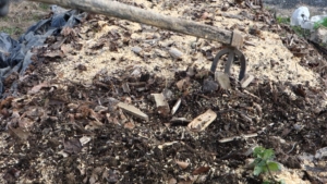 資材を乗せた菌ちゃん畝を耕してる。