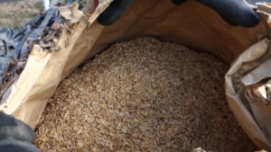 菌ちゃんのエサのもみ殻