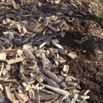 竹チップを菌ちゃん畝に乗せる