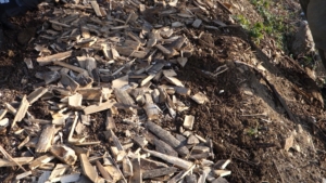 竹チップを菌ちゃん畝に乗せる